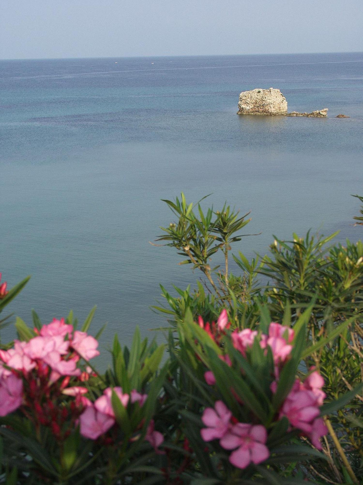 נאה פוטידאה Seaview Aparthotel מראה חיצוני תמונה